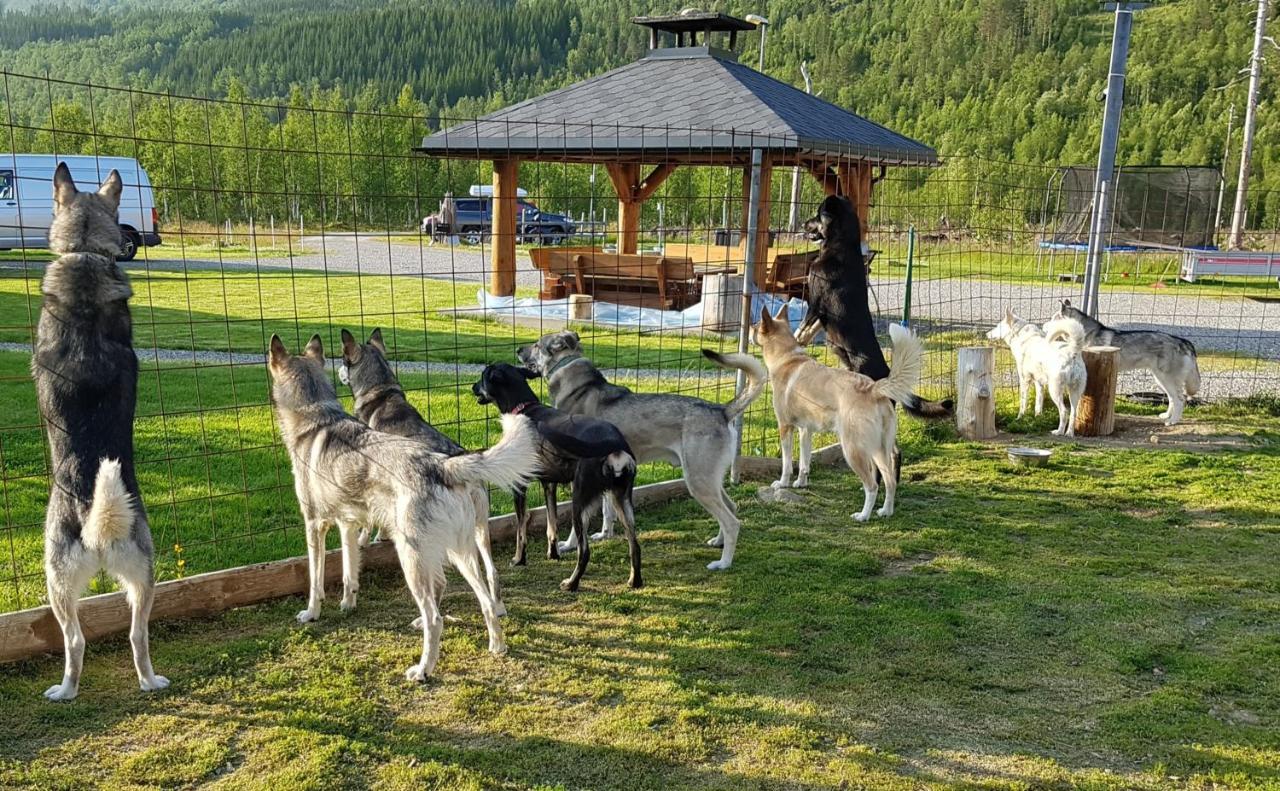 Visit Junkerdal Villa Exteriör bild